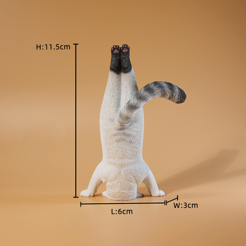 1/6 Scale Mini Simulated Fitne - Yoga Fitness Tva review and price